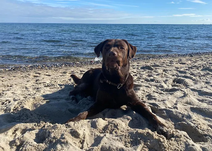 Appartamento Kajuete5a Glücksburg